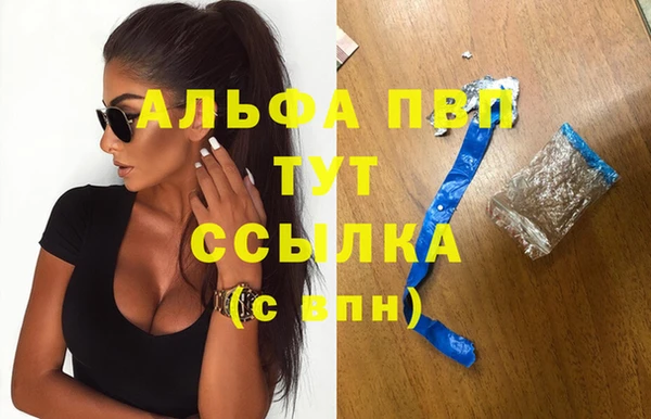 Альфа ПВП Верея